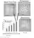 Fig. 20 - CELL-BASED ARRAYS, METHODS OF MAKING, AND METHODS OF USING