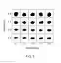 Fig. 04 - High Strength Low Density Synthetic Proppants for Hydraulically Fracturing and Recovering Hydrocarbons