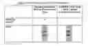 Fig. 08 - Coating systems