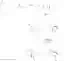 Fig. 08 - 5,5-dimethyl-2-propyl-hexahydro-2,4a-methano-naphthalen-1-one as a fragrance agent