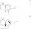 Fig. 23 - 5,5-dimethyl-2-propyl-hexahydro-2,4a-methano-naphthalen-1-one as a fragrance agent