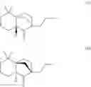 Fig. 24 - 5,5-dimethyl-2-propyl-hexahydro-2,4a-methano-naphthalen-1-one as a fragrance agent