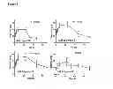 Fig. 13 - Methods for preventing or treating disorders by increasing bioavailability of iron and related pharmaceutical formulation