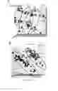 Fig. 09 - Biomarkers for the molecular classification of bacterial infection