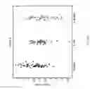 Fig. 13 - Biomarkers for the molecular classification of bacterial infection