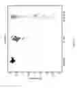 Fig. 17 - Biomarkers for the molecular classification of bacterial infection