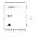 Fig. 18 - Biomarkers for the molecular classification of bacterial infection