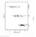 Fig. 19 - Biomarkers for the molecular classification of bacterial infection