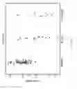 Fig. 32 - Biomarkers for the molecular classification of bacterial infection