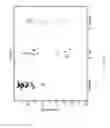 Fig. 40 - Biomarkers for the molecular classification of bacterial infection