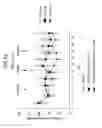 Fig. 113 - FGF21 mutants comprising a mutation at position 98, 171 and/or 180