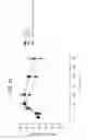 Fig. 83 - FGF21 mutants comprising a mutation at position 98, 171 and/or 180