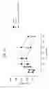 Fig. 84 - FGF21 mutants comprising a mutation at position 98, 171 and/or 180
