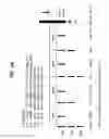 Fig. 95 - FGF21 mutants comprising a mutation at position 98, 171 and/or 180