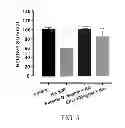 Fig. 06 - Tissue protective peptides and uses thereof