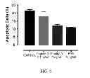 Fig. 07 - Tissue protective peptides and uses thereof