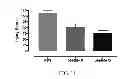 Fig. 12 - Tissue protective peptides and uses thereof