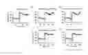 Fig. 04 - METHOD AND COMPOSITIONS FOR TREATING STROKE WITH FEVER