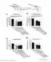 Fig. 06 - METHOD AND COMPOSITIONS FOR TREATING STROKE WITH FEVER
