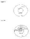 Fig. 12 - METHOD OF INHIBITING DOPAMINERGIC CELL DEATH