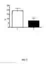 Fig. 04 - Apotransferrin for the treatment of brain stroke
