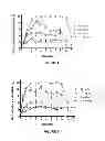 Fig. 02 - ANTINEURITIC PHARMACEUTICAL COMBINATION AND COMPOSITIONS