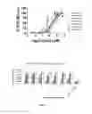 Fig. 03 - Small molecule modulators of pRb inactivation