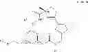 Fig. 13 - Combination compositions and methods of treatment