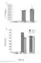 Fig. 04 - Methods for preserving photoreceptor cell viability following retinal detachment