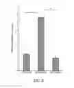 Fig. 06 - Methods for preserving photoreceptor cell viability following retinal detachment