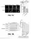 Fig. 08 - Esters of DCPLA and methods of treatment using the same