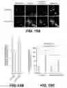 Fig. 18 - Esters of DCPLA and methods of treatment using the same