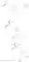 Fig. 23 - BETA-O/S/N FATTY ACID BASED COMPOUNDS AS ANTIBACTERIAL AND ANTIPROTOZOAL AGENTS