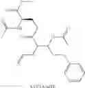 Fig. 26 - BETA-O/S/N FATTY ACID BASED COMPOUNDS AS ANTIBACTERIAL AND ANTIPROTOZOAL AGENTS
