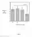 Fig. 06 - Phenyl-substituted nicotinic ligands, and methods of use thereof