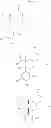 Fig. 14 - Hexahydropyrano[3,4-][1,3]thiazin-2-amine compounds