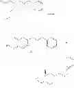 Fig. 23 - Hexahydropyrano[3,4-][1,3]thiazin-2-amine compounds