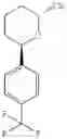 Fig. 53 - Pyridazine carboxamides as CCR2 receptor antagonists