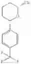 Fig. 60 - Pyridazine carboxamides as CCR2 receptor antagonists