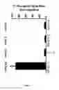 Fig. 12 - Method of treating atrial fibrillation