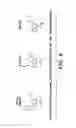 Fig. 17 - Inhibitors of phosphodiesterase 11 (PDE11)