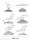Fig. 18 - Inhibitors of phosphodiesterase 11 (PDE11)
