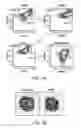 Fig. 02 - Compositions and methods for increasing proliferation of adult salivary stem cells