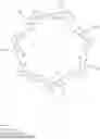 Fig. 362 - Amine derivative compounds for treating ophthalmic diseases and disorders