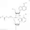 Fig. 07 - NUCLEOTIDE AND OLIGONUCLEOTIDE PRODRUGS