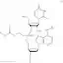 Fig. 09 - NUCLEOTIDE AND OLIGONUCLEOTIDE PRODRUGS