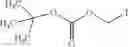 Fig. 100 - NUCLEOTIDE AND OLIGONUCLEOTIDE PRODRUGS