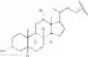 Fig. 109 - NUCLEOTIDE AND OLIGONUCLEOTIDE PRODRUGS