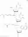 Fig. 125 - NUCLEOTIDE AND OLIGONUCLEOTIDE PRODRUGS