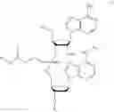 Fig. 18 - NUCLEOTIDE AND OLIGONUCLEOTIDE PRODRUGS